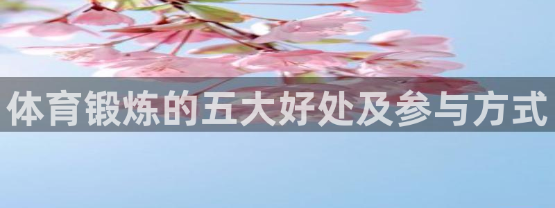 杏宇3登陆