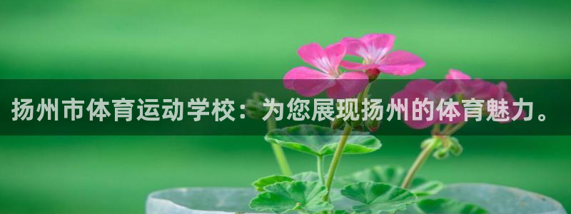 意昂5招商