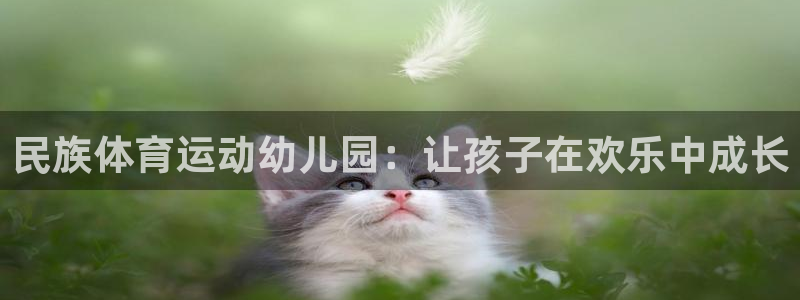 德国意昂集团