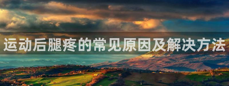 杏宇平台注册