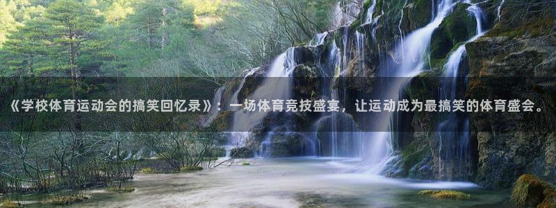 杏宇代理