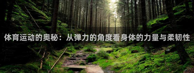 杏宇3官网