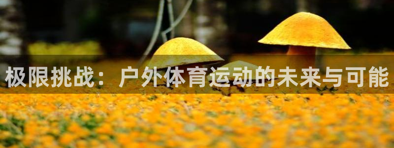 杏宇体育2官网入口