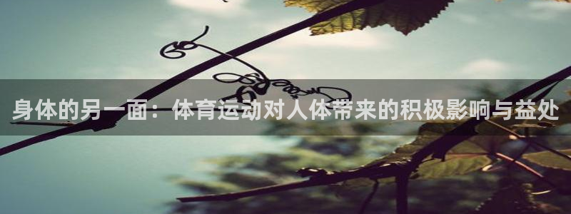 杏宇3注册