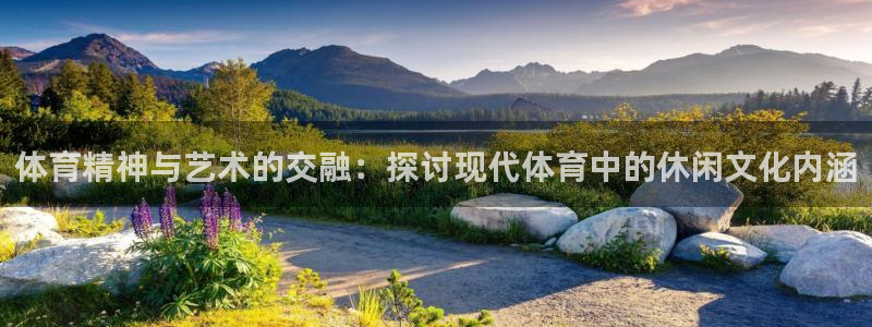 杏宇体育平台登录入口