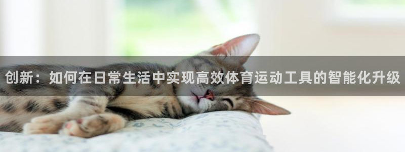 意昂包怎么样