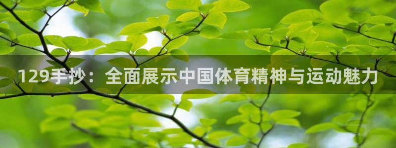 意昂代理注册官网入口