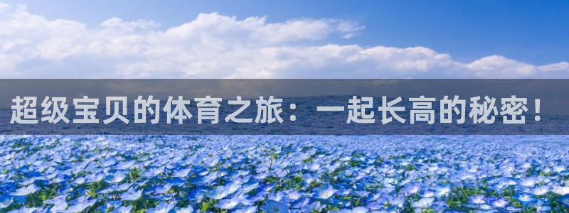 杏宇登录注册
