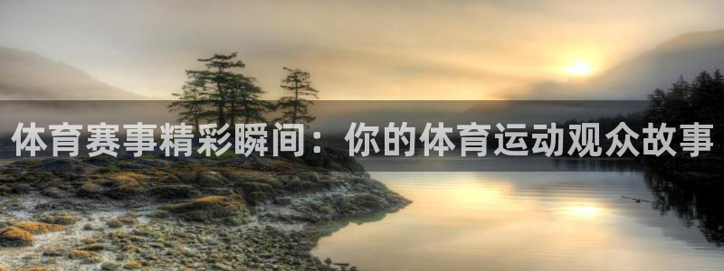 杏宇2平台